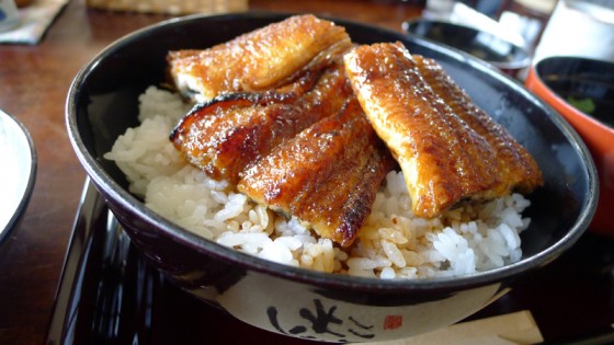 関西風蒲焼きの鰻丼